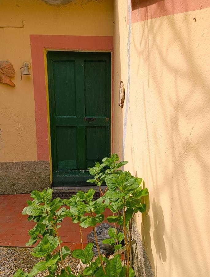 Norina'S House Villa Monterosso al Mare Dış mekan fotoğraf